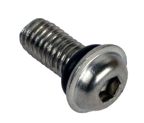 Beadlock Screw & O Ring Douglas Type