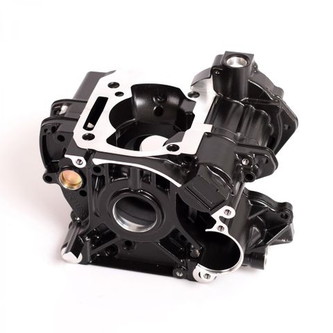 Crankcase Assembly Max Evo