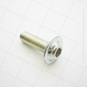 Allen Screw Round Head New Rad 6x20