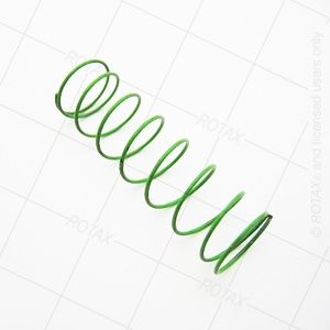 Power Valve Compression Spring Evo