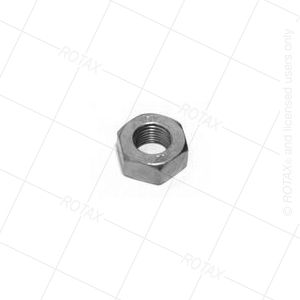 Hex Nut M10 X 1DIN 934-clutch