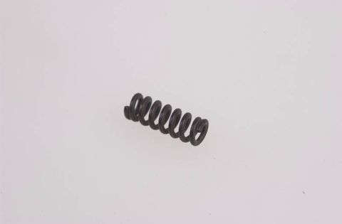 Carb idle screw spring R120