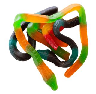 GUMMY PYTHON