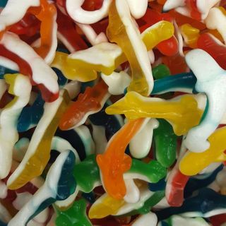 GUMMY SHARKS
