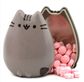 BOSTON AMERICA PUSHEEN CAT SWEETS!