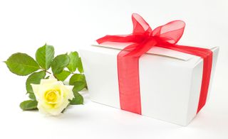 Empty Gift Box - Large