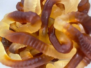 Cola Worms