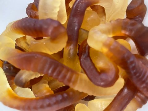 COLA WORMS