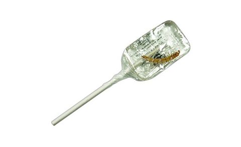 HotLix Real Worm Suckers