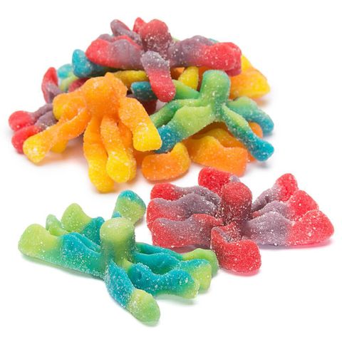 GUMMY OCTOPUS