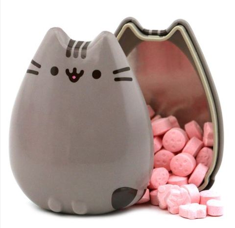 BOSTON AMERICA PUSHEEN CAT SWEETS!