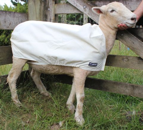 XXL Finero Sheep Cover F