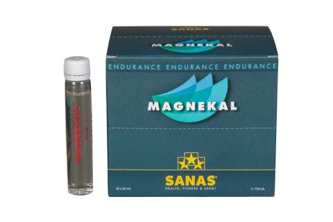 Sanas Magnekal 30 Amp