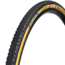 Challenge H-Tlr Almanzo Pro