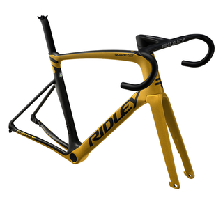 Ridley Noah Fast Disc NFD03Am Gold (XS) Frameset Only