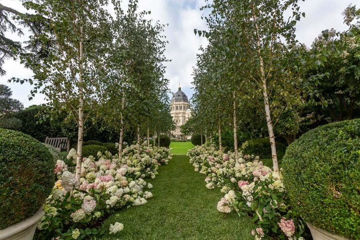 Hydrangea paniculata 'Sundae fraise' pbr MIFGS 2022