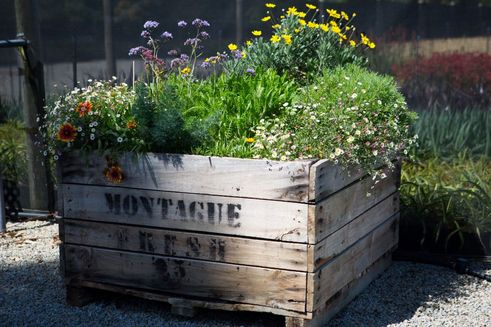 Integrated Pest Management - Bug Hotel