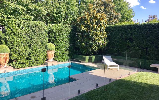Hedges to Beautify your pool edges
