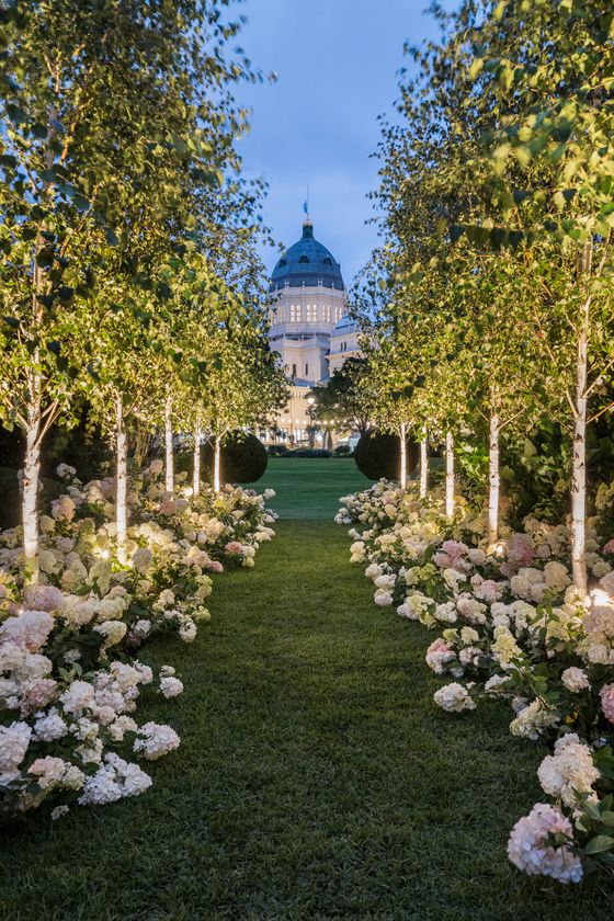 Gardens at Night  - The Avenue MIFGS 2022