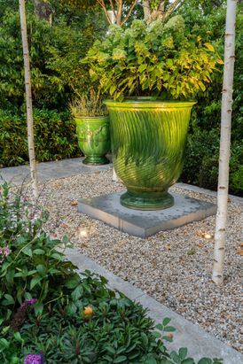 Jane Jones Sedum, Betula