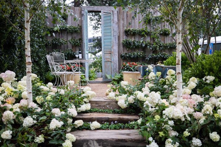 Courtyard with espalier & edibles