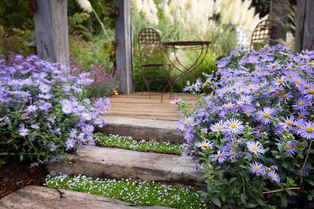 The Compact Edible Garden - MIFGS 2022