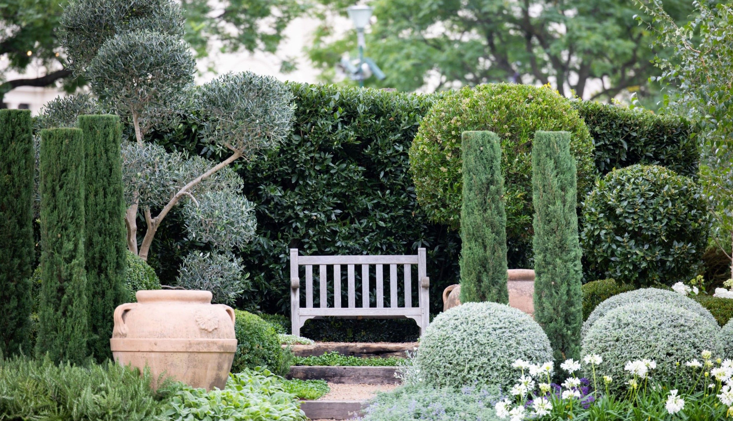 PLANT WHAT WHERE<br>Click for Plant Guide