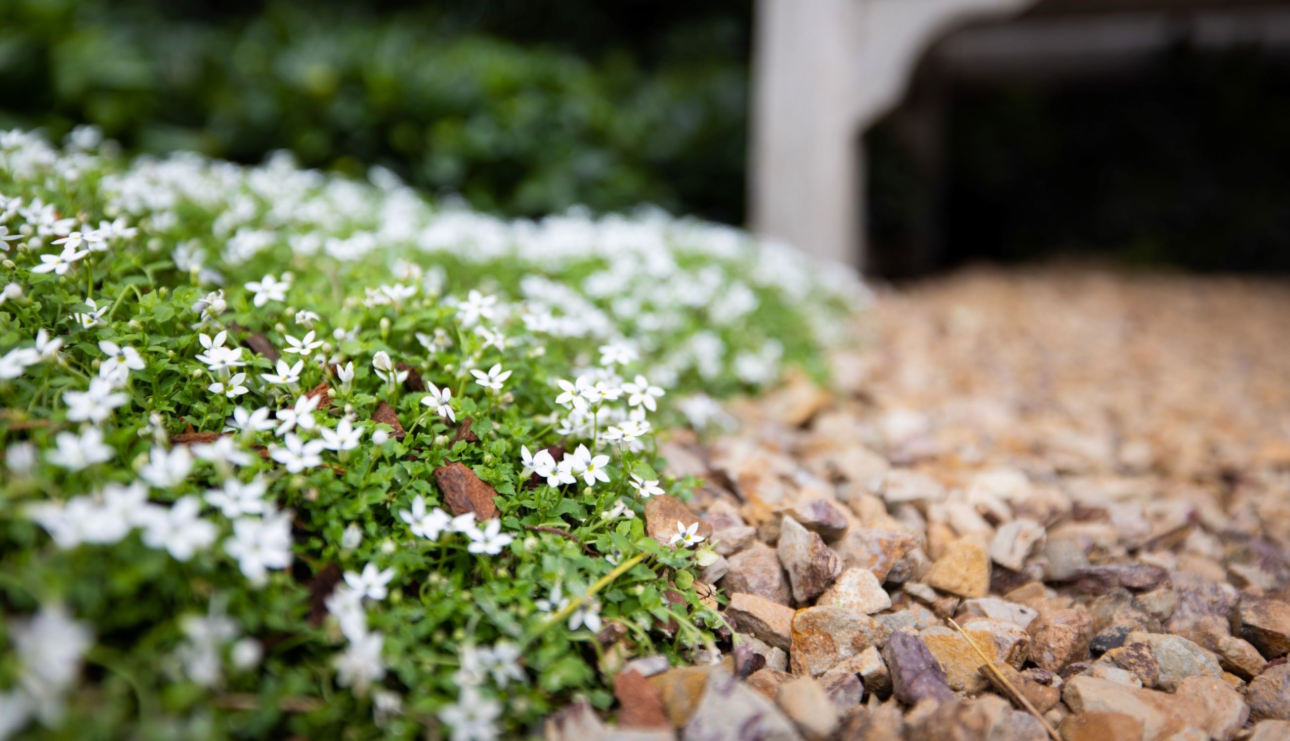 INSPIRATION<br>Warners plants shared on Instagram