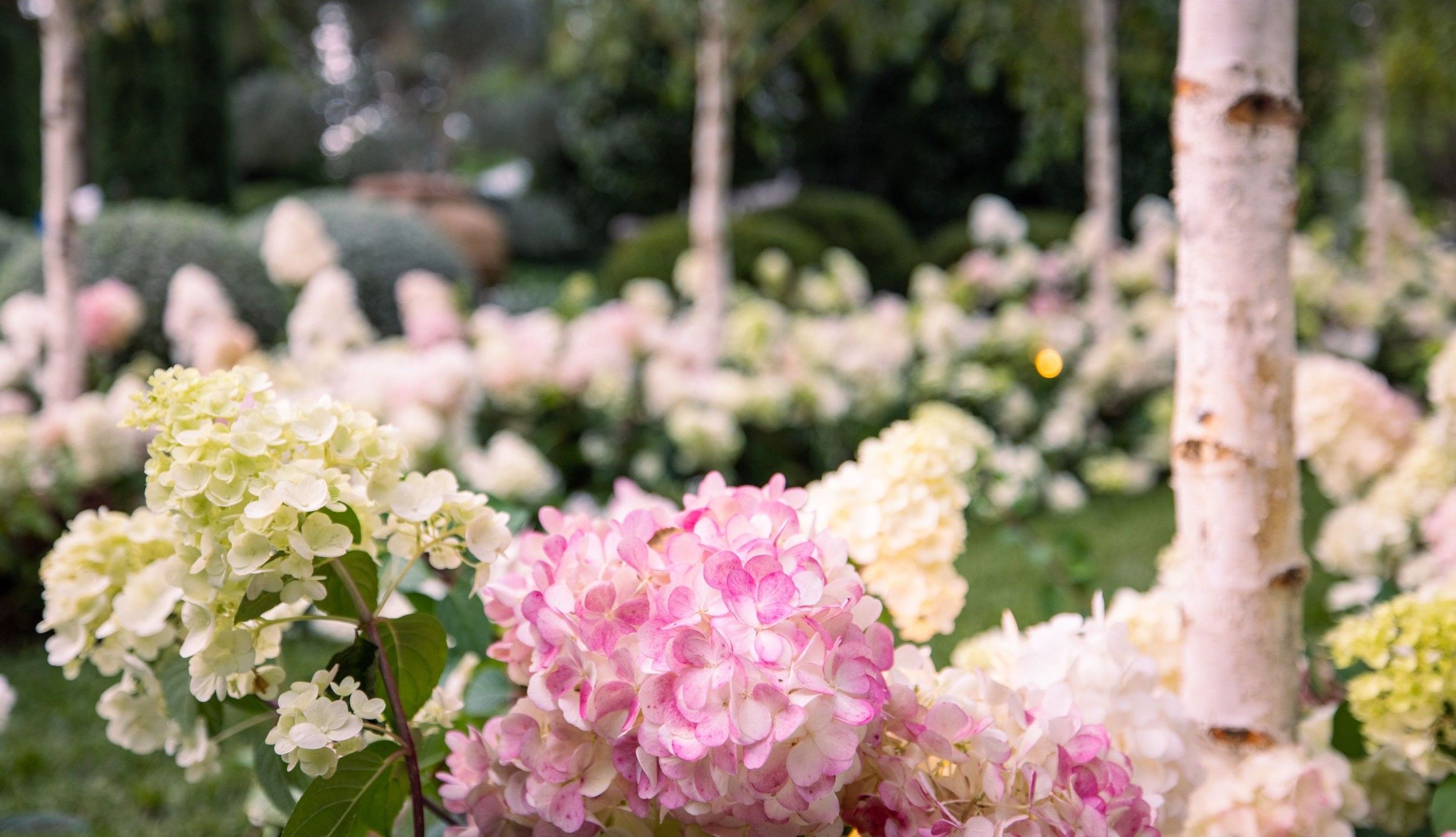 INSPIRATION<br>Warners plants shared on Instagram