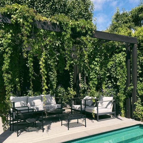 Parthenocissus quinquefolia