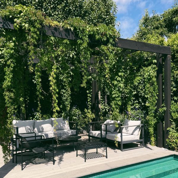 Parthenocissus quinquefolia