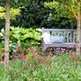 Persicaria affinis 'Dimity'