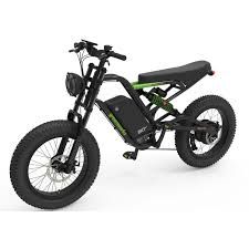 Greenworks 60V Venture Series 20" All Terrain E-Bike Skin