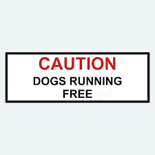 Sign - Caution Dog Running Free 300mmx105mm