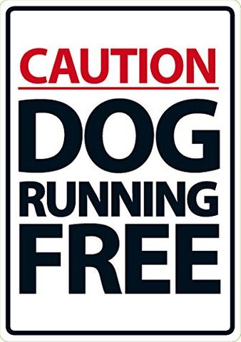 Sign - Caution Dog Running Free 150mmx210mm