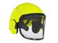 Protos Forestry Helmet