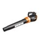 Worx 5 Piece 20V Kit