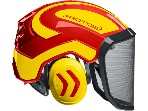 Protos Forestry Helmet NY/G