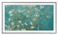 43 Inch The Frame QLED Smart TV