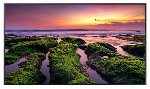 QB65B 65" UHD Commercial Screen