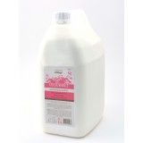 N/Look ColouranceConditioner 5L