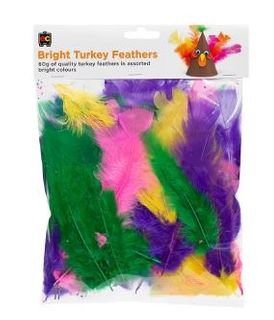 Feathers Large 60gm /PKT240