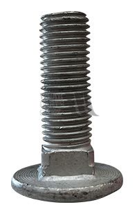 Coach Bolt/Nut M16x50 Galv