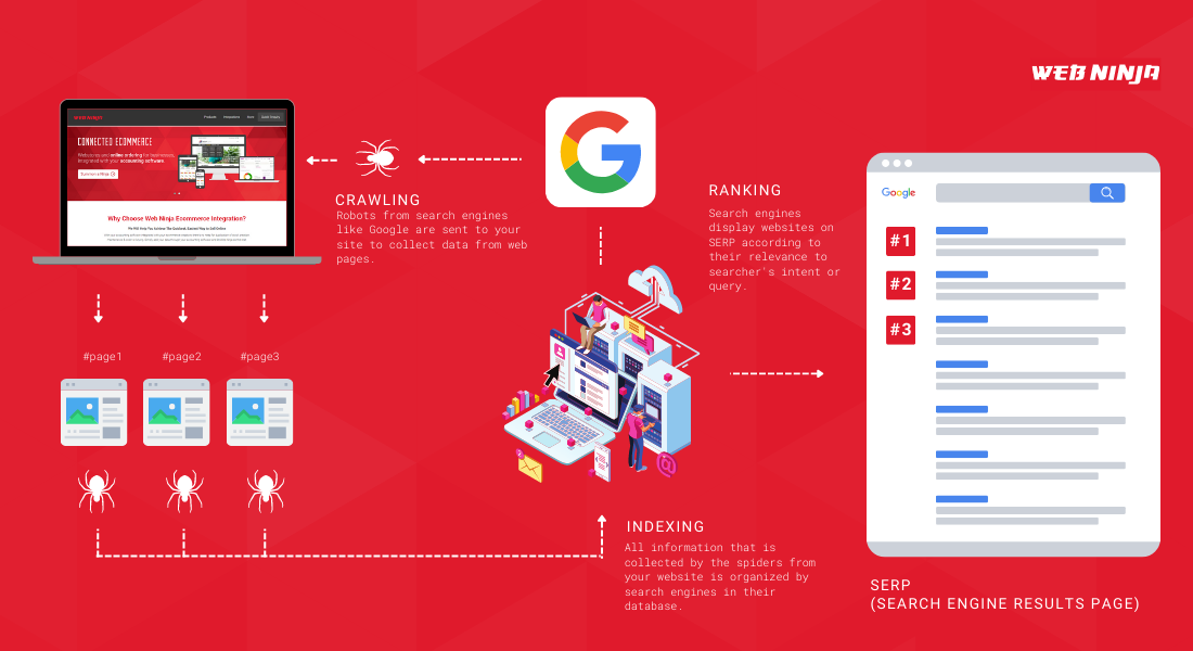 indexing process infographic