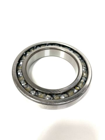 BEARING 6013-P6