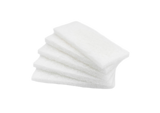 Eager Beaver Polishing Pad X10