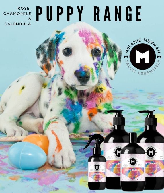 Western Pet Supplies Australia Wholesale Pet Supplies