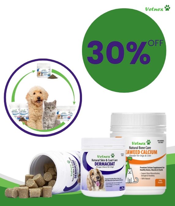 Cheap pet supplies outlet wholesale