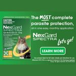 Nexgard Spectra Cat