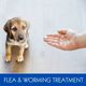 FLEA & WORMING